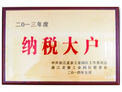2013年度纳税大户