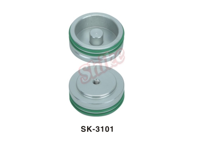 SK-3101
